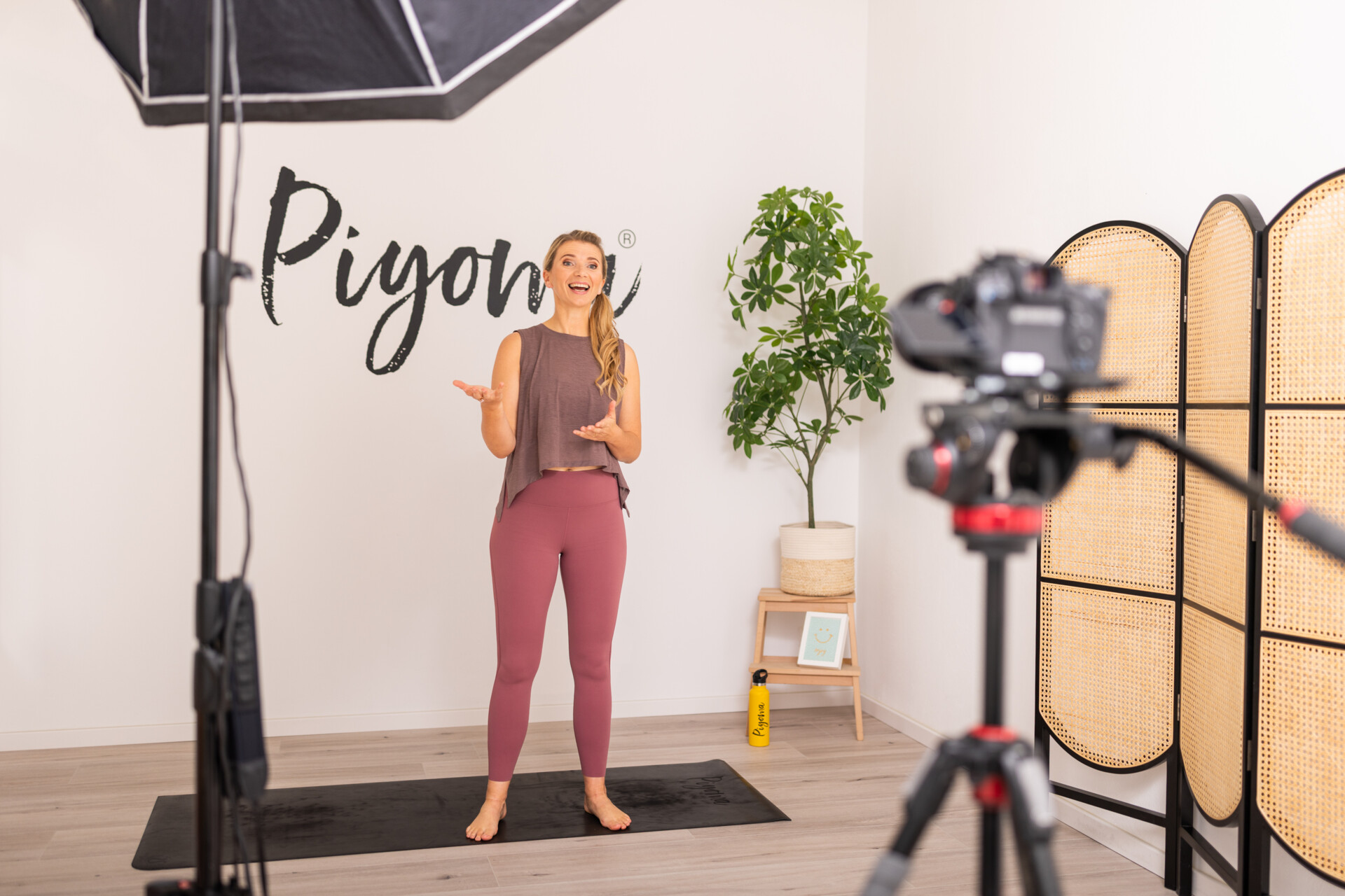 Wie läuft Piyoma@home ab?